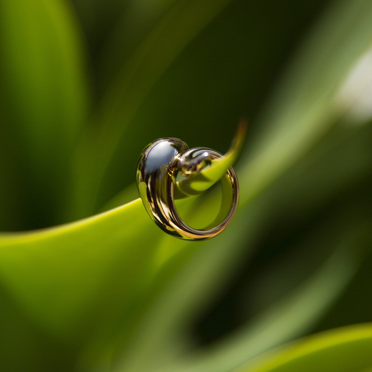 AWAKEN RING